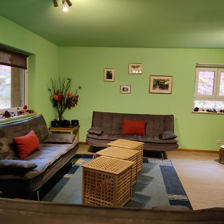 Ferienhaus Route 5 Elmstein Экстерьер фото